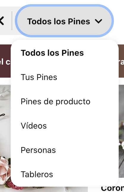 filtro de búsquedas en Pinterest